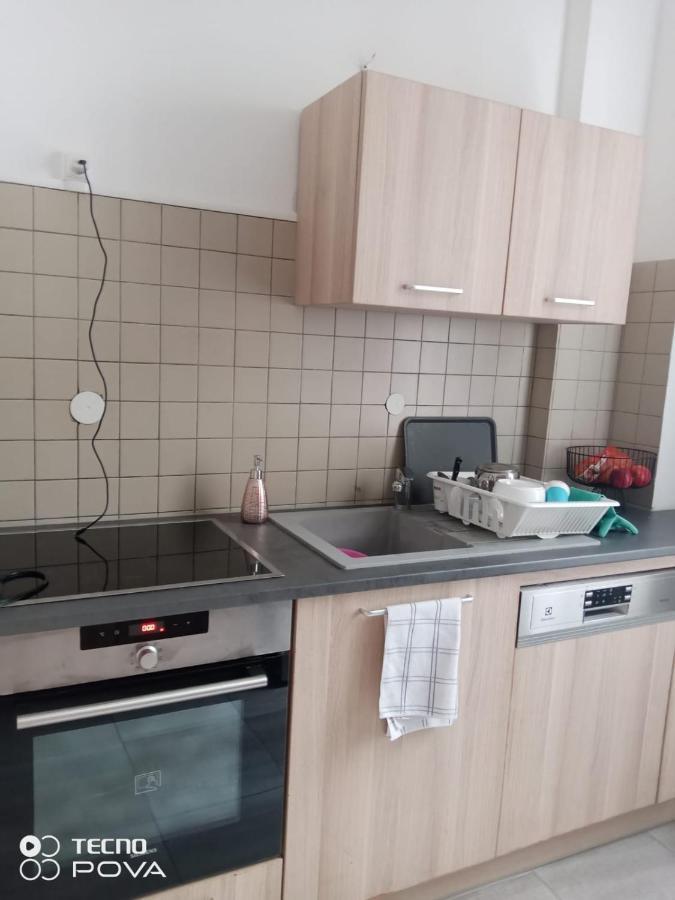 Grand Appartement Au Coeur De Strasbourg Luaran gambar