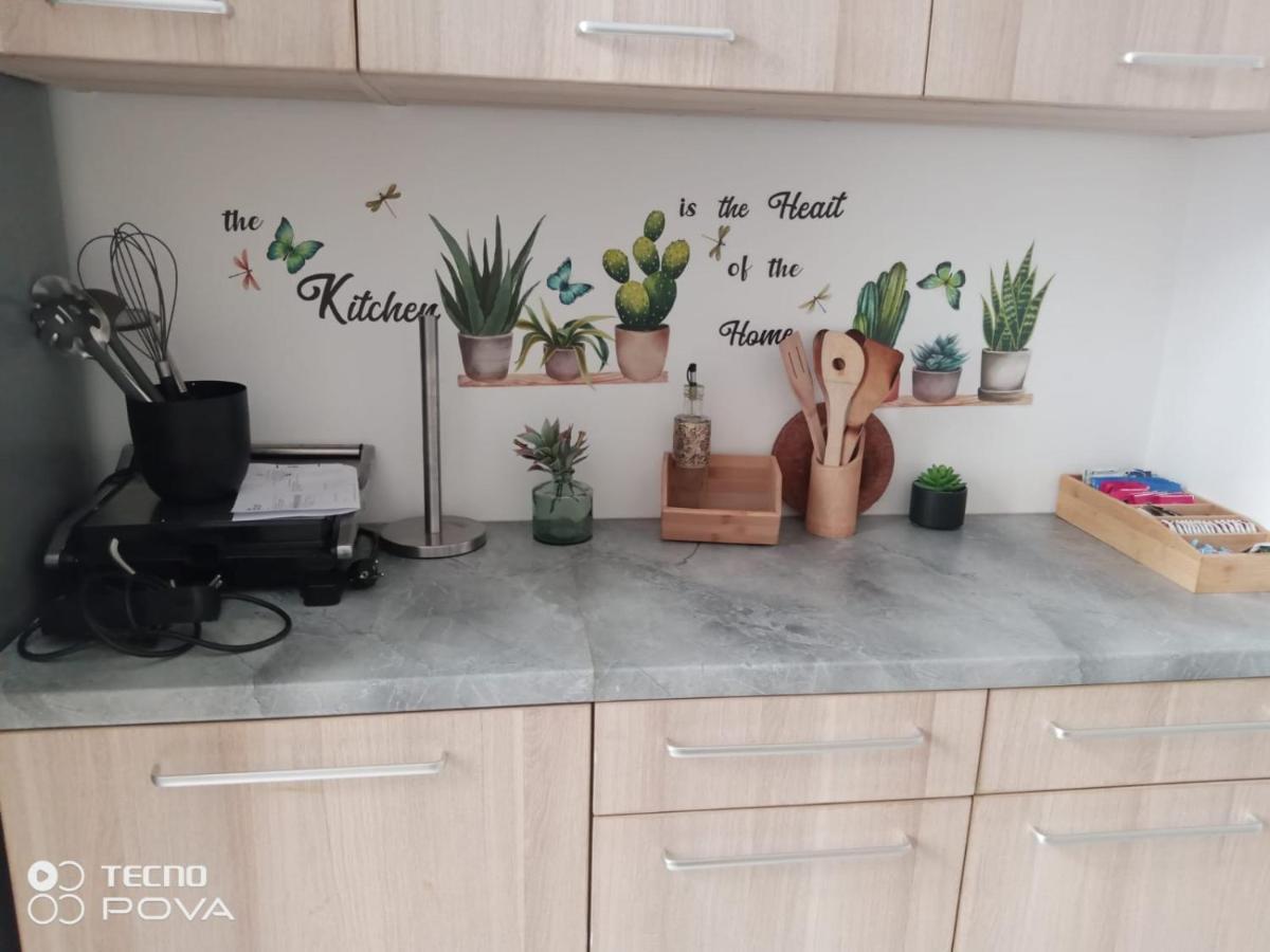 Grand Appartement Au Coeur De Strasbourg Luaran gambar